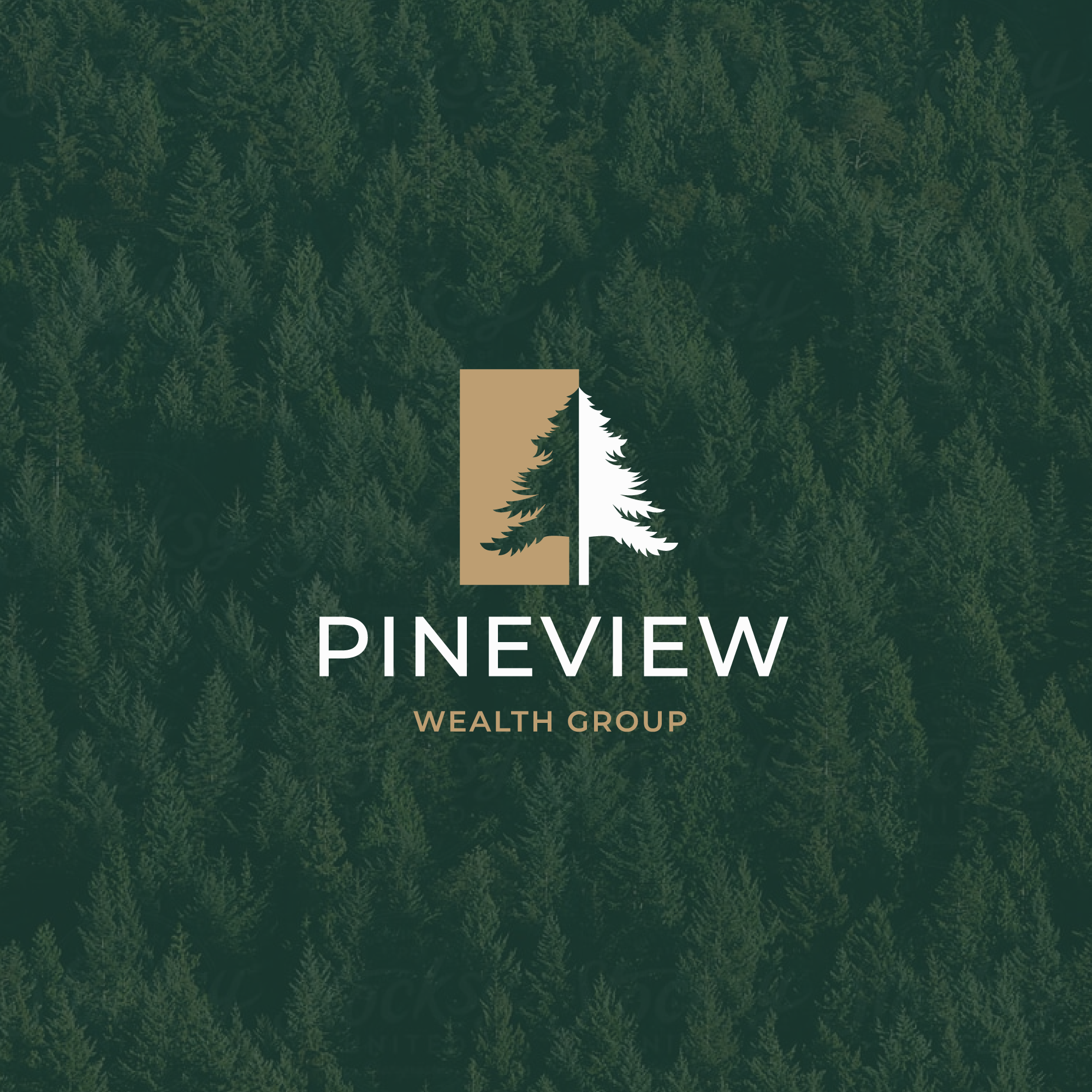 Pineview Wealth Group
