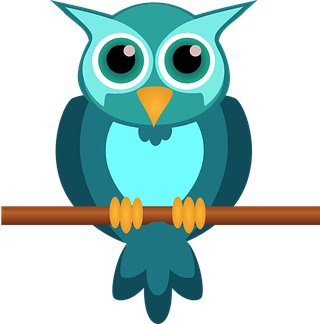 owl